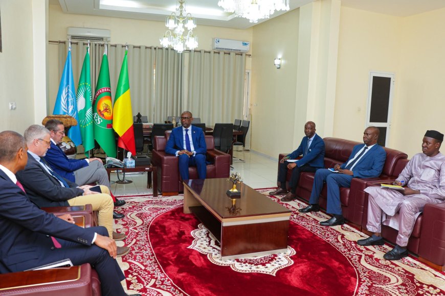 Mali - Diplomatie : Abdoulaye Diop échange avec le PAM et salue le départ de l’ambassadeur guinéen