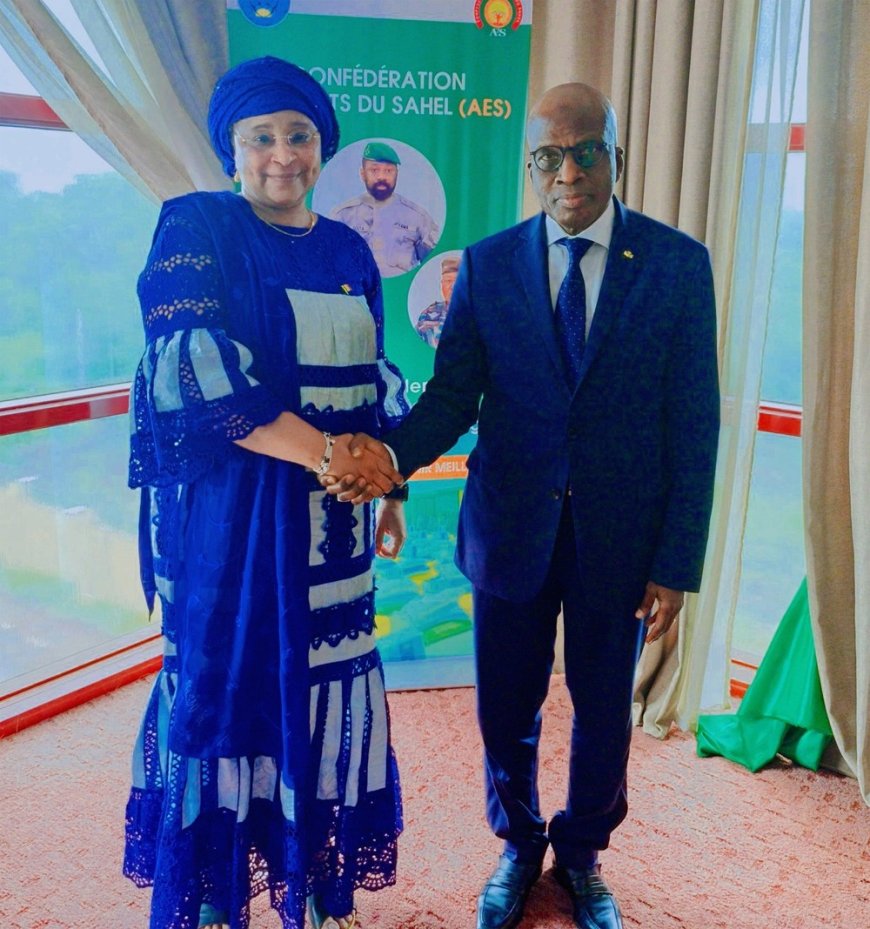 Ministère de la santé et du développement social : Médecin-colonel Assa Badiallo Touré reçoit l'ambassadeur Samba A. Baby