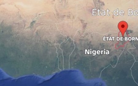 Le Nigeria salue toute aide américaine contre le terrorisme