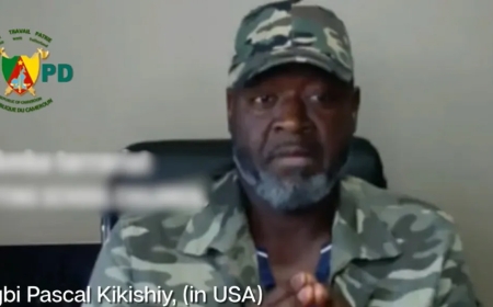 Cameroun : deux leaders séparatistes arrêtés aux États-Unis pour enlèvements et attaques à la bombe