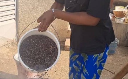 Mme Awa Diarra, Fondatrice de « Reine ka épices » : La jeune entrepreneure qui donne une autre valeur au «Soumbala»