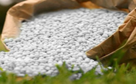 Rupture de stocks d’intrants agricoles : L’IER au banc des accusables