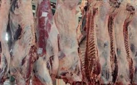 Perspectives sahéliennes : Kilichi, Mali Sogo, Poulet bicyclette : Le Sahel, terre de viandes