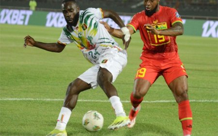 Coupe du monde Ghana-Mali 1-0 : La mauvaise opération des Aigles