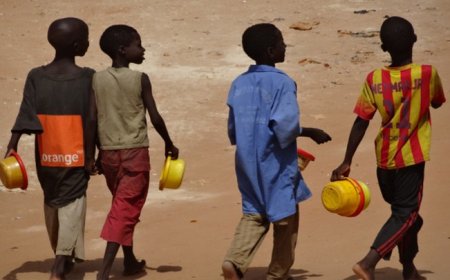 Talibés à Bamako : Dans l’univers de l’apprentissage