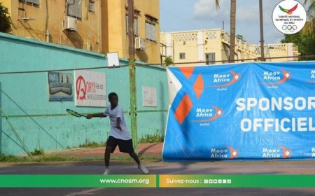 Arbitrage : Les sifflets d’élite maliens se perfectionnent