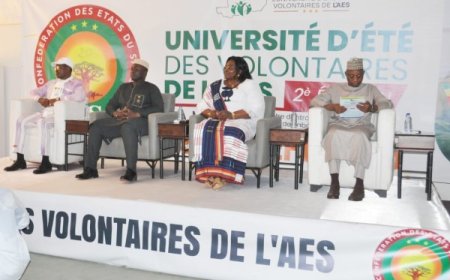 Université d'été des volontaires de l'AES : L'engagement pour une reconstruction réelle