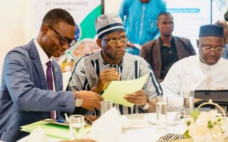 «Mali Kura Ɲɛtaasira ka bɛn san 2063 ma » : L’API-Mali à l’avant-garde