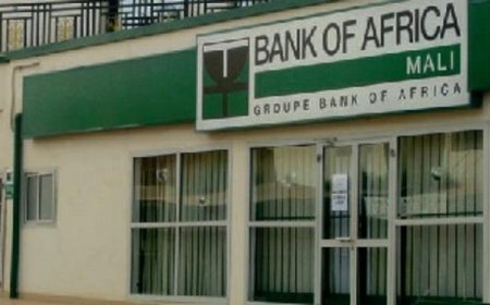 Affaire de la gestion du fonds social de la BOA-Mali : La Section des banques et le Synabef appellent à l'apaisement dans la solidarité et la vigilance