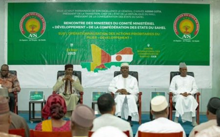 Tribune de Madou Cisse : Monnaie commune de l'AES, une analyse coût-bénéfice