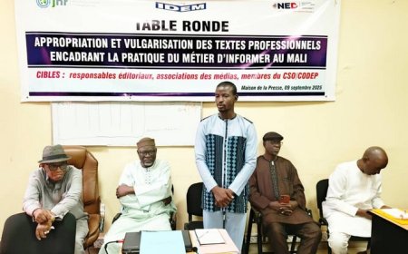 Presse Malienne : L’ IDEM et JDH renforcent les compétences des Journalistes sur les textes juridiques