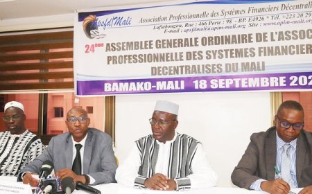 Microfinance au Mali : l’APSFD compte 116 institutions pour 1,58 million de clients