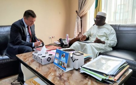 Mali : Ankara s’intéresse au potentiel minier