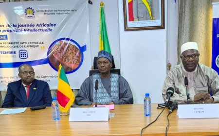 Journée africaine de la propriété intellectuelle : la 26ᵉ édition met l’accent sur les ressources humaines