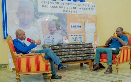 Vient de paraître : « MALI 3.0 » de l’homme politique Cheick Oumar Diallo