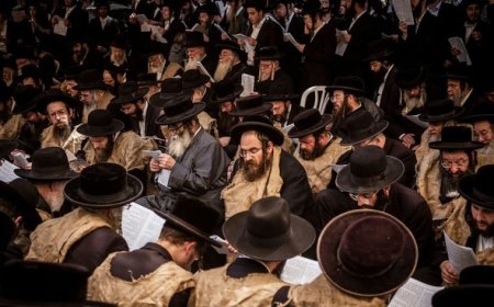 Tribune/Palestine : ce que les ultra-orthodoxes juifs nous disent… et que le monde refuse d'entendre.