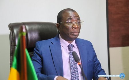 Boubacar Sidiki Diarrah, Secrétaire général du MJDH : l’architecte de l’ombre