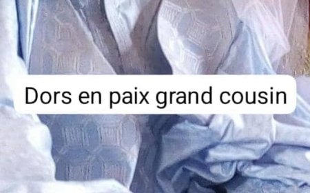 Hommage au professeur Mahamane Halidou Maïga :   Un père exemplaire, un professeur émérite, un amoureux du Mali s’en est allé !