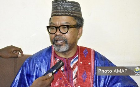Pr Franklin Nyamsi : « L'AES est la première puissance militaire de l'Afrique francophone »