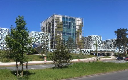 Cour internationale de justice : Le gouvernement dénonce une fuite en avant du régime algérien