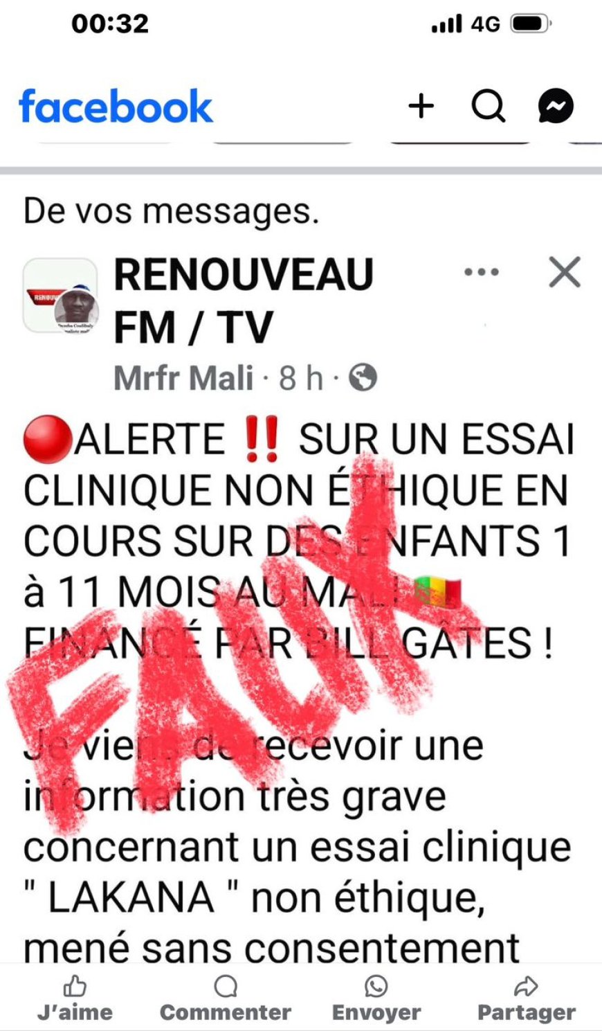 "Terrorisme médiation-sanitaire" : Que cherche la Ligue de Défense Noire Africaine dans les pays de l'AES ?