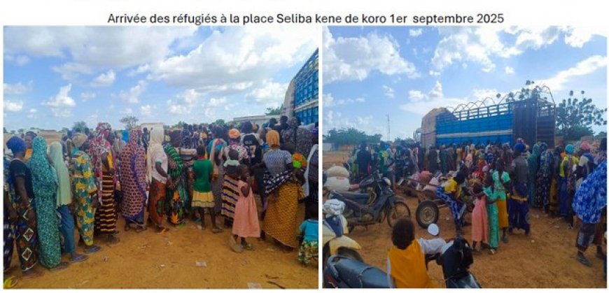 Urgence à Koro : des milliers de réfugiés en détresse, les ressources locales à bout