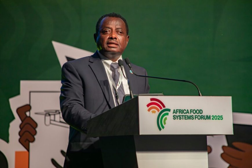 «L’Afrique peut nourrir le monde, mais doit d’abord se nourrir» (FAO)