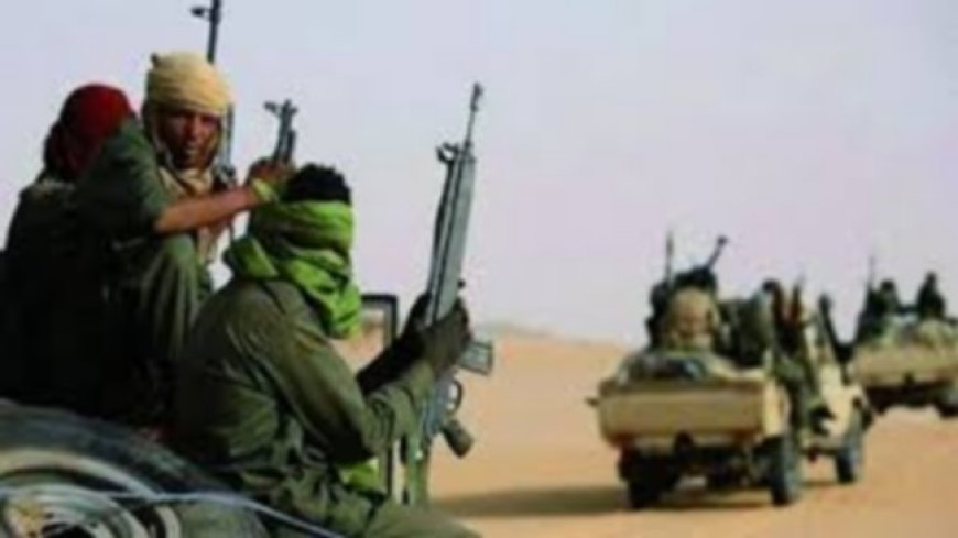 Les Secrets de Balla 2025 : Sahel: la lutte contre l’hydre terroriste