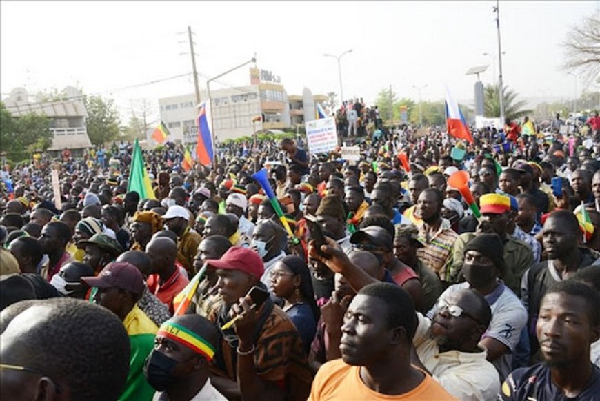 Le cri silencieux des sages : Comment l'intellect malien désarme la Nation