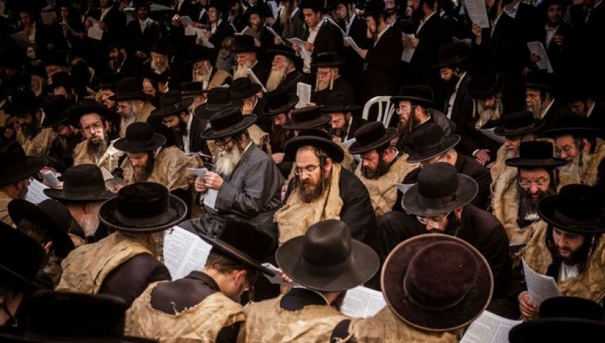 Tribune/Palestine : ce que les ultra-orthodoxes juifs nous disent… et que le monde refuse d'entendre.