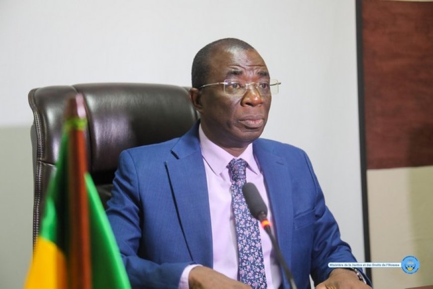 Boubacar Sidiki Diarrah, Secrétaire général du MJDH : l’architecte de l’ombre