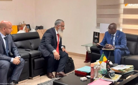 Valoriser le coton malien: des investisseurs marocains présentent un projet textile ambitieux