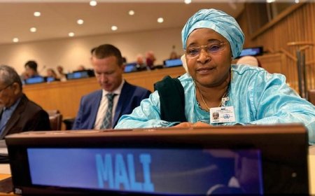 80e assemblée générale des Nations Unies :   Le Mali réaffirme son engagement à lutter contre les maladies non transmissibles