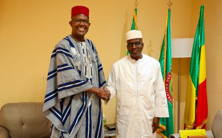 Diplomatie : Le nouvel ambassadeur du Mali en Egypte, Samba A. Baby  chez le ministre Daffé