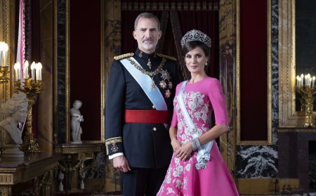 Felipe VI, roi d’Espagne :  Onzième souverain de la  dynastie de Bourbon !