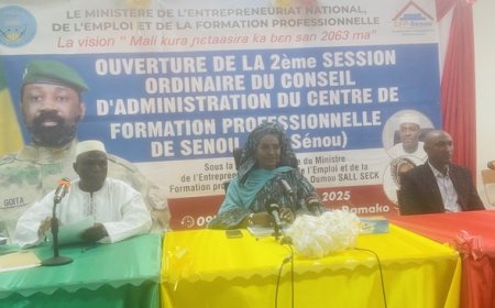 Conseil d’administration du CFP de Sénou :  Une session «stratégique» pour renforcer l’impact de la formation professionnelle