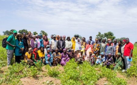 Sasakawa Africa Association : Une mission de terrain saluée à Fana et Ségou
