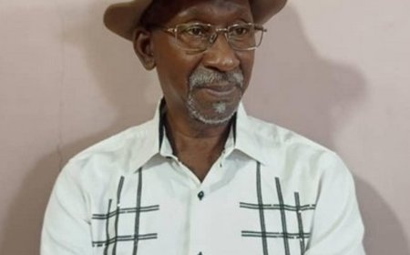À vos plumes : Le miroir brisé de l'Afrique !