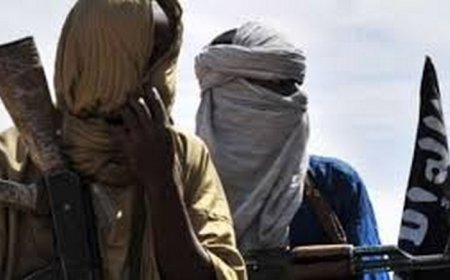 Sécurité : Que veulent nos djihadistes au Mali ?