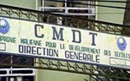 CMDT, avec un résultat net de 3,7 milliards de bénéfice pour un objectif de 1 milliards : Les signaux sont au vert