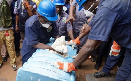 Le coton et l’or dans la zone de turbulence :  Des perspectives pas très réjouissantes pour le budget national