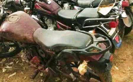 Région de Ségou : Les FAMa neutralisent plusieurs terroristes à Diakoro-Wèrè