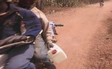 Du commerce légal au marché noir : de moyens de transport à armes de guerre