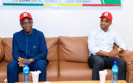 La Cour constitutionnelle du Bénin confirme l’exclusion du principal parti d’opposition des élections présidentielles