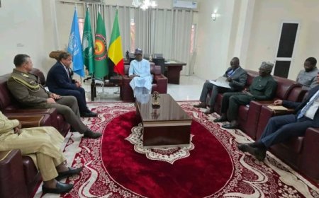 Diplomatie : Plusieurs ambassadeurs présentent les copies figurées de leurs lettres de créance au ministre Diop