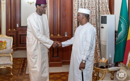 Coopération : le président tchadien reçoit en audience le premier ministre nigérien
