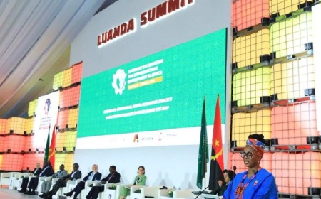 L'Afrique décroche 18 Mds USD pour son avenir à l'issue d'un forum sur le développement