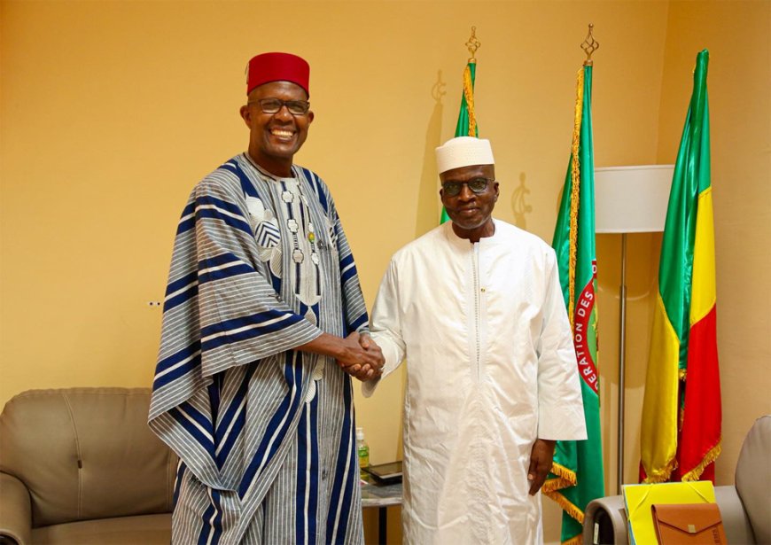 Diplomatie : Le nouvel ambassadeur du Mali en Egypte, Samba A. Baby chez le ministre Daffé