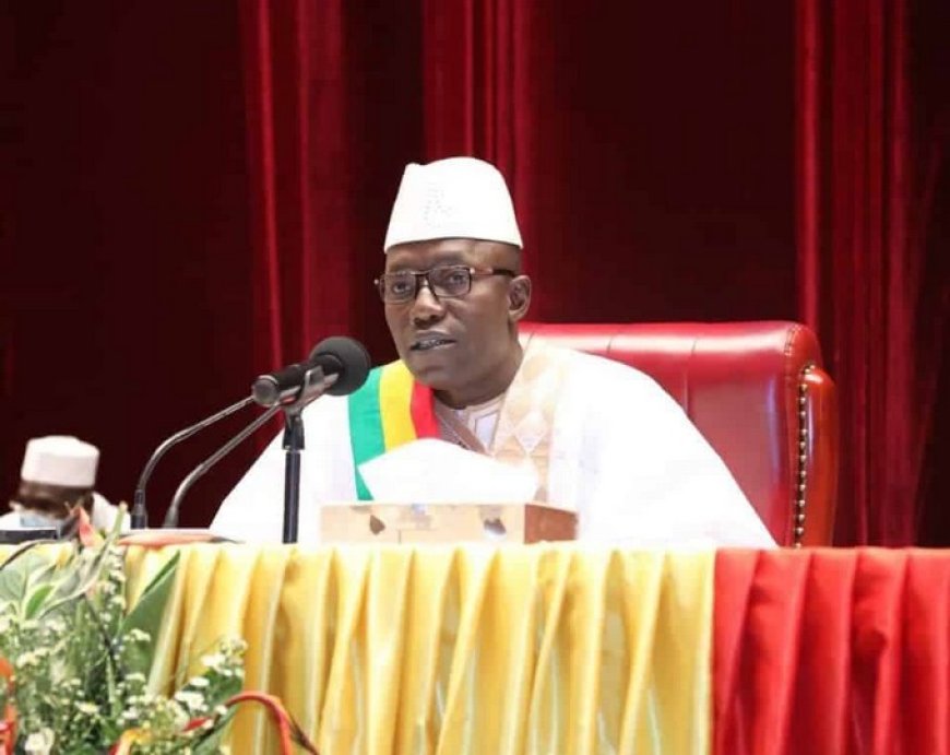 Mali : Malick Diaw accuse « les puissances étrangères de vouloir asphyxier économiquement le Mali »