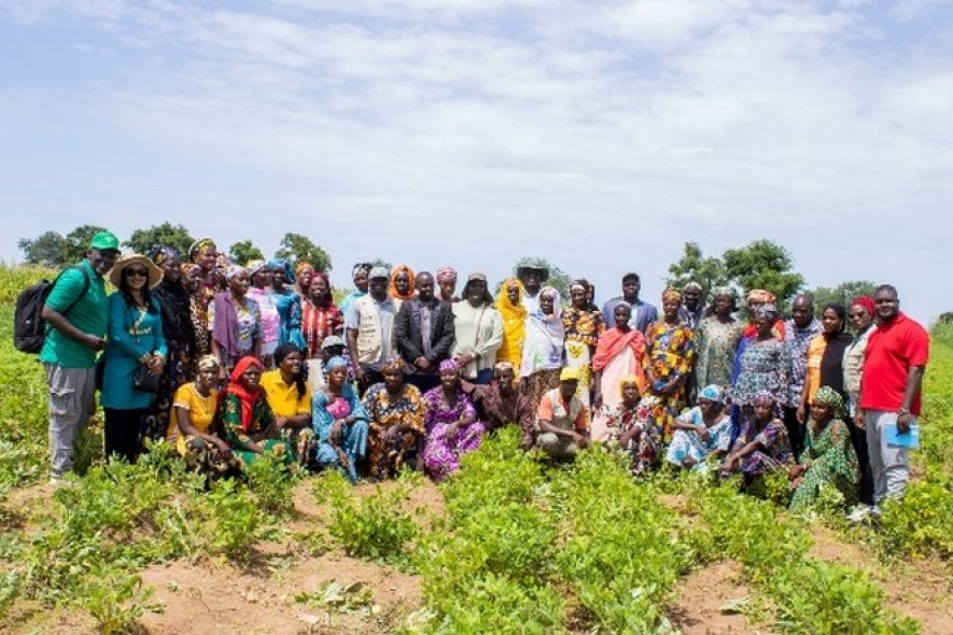 Sasakawa Africa Association : Une mission de terrain saluée à Fana et Ségou